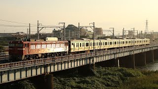 【汽笛あり•配給輸送】 EF81-141+E231系 平塚~茅ヶ崎通過
