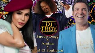 Snoop Dogg - Drop It Like It's Hot X ريمكس - سعد الصغير - امينة - اركب الحنطور Mashup BY DJ TROY
