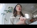 weekly vlog | back in korea, holiday shopping, snow day, coffeeshop chats