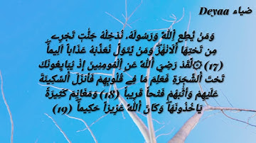 سورة الفتح للحفظ والمراجعة || برواية ورش ووقف الهبطي