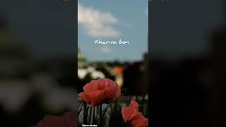 Hirai Zerdüş - Sevgili Resimi