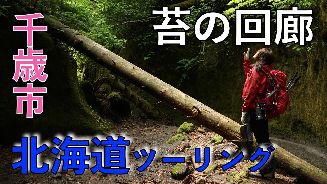 【苔の回廊】【秘境の旅】CB400SFで行く北海道ツーリング