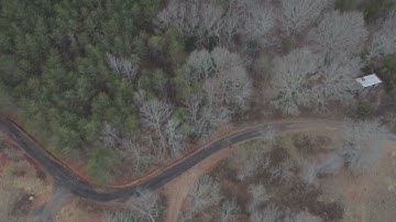 Litchi Official Version Test With DJI Mini 2 in 4K