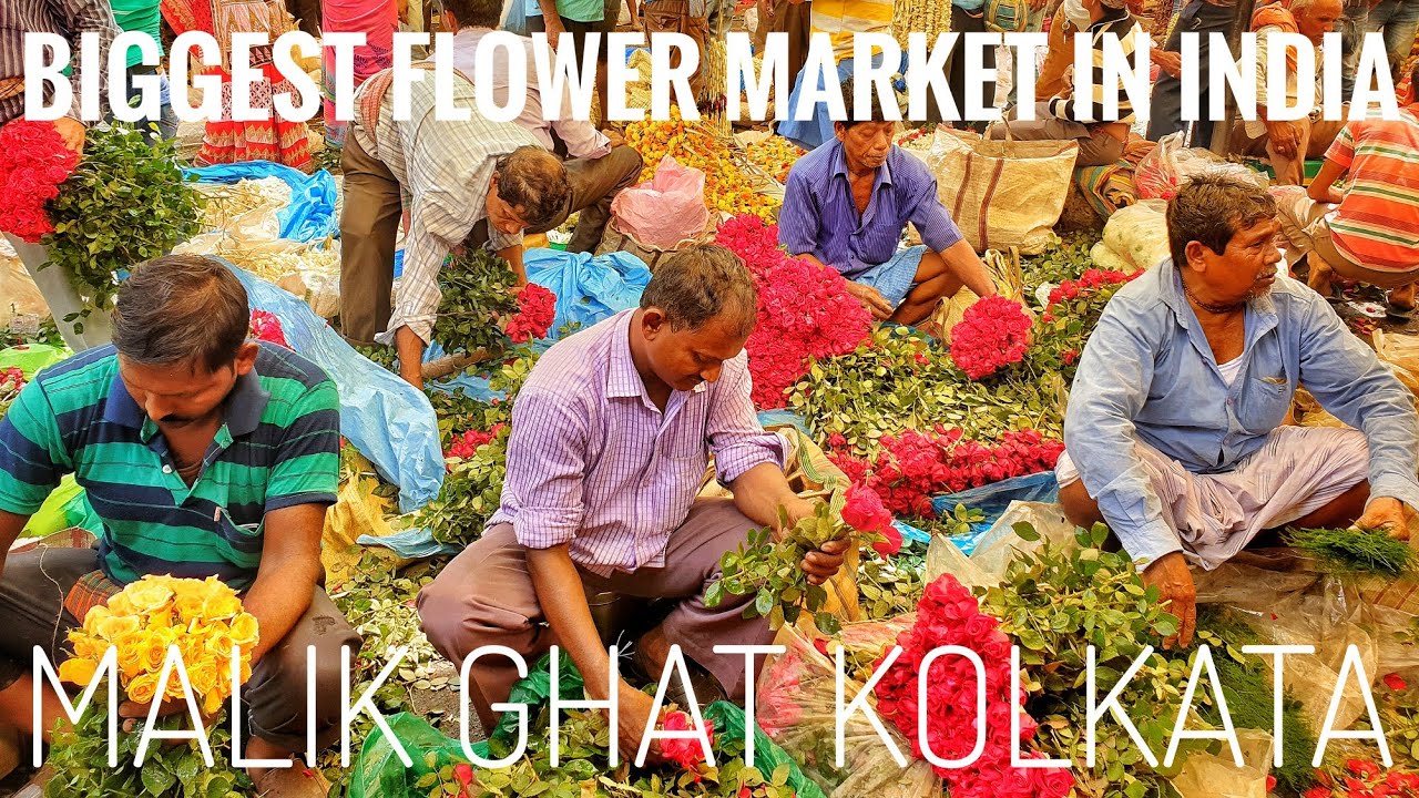 BIGGEST FLOWER MARKET IN INDIA MALIK GHAT AT KOLKATA YouTube