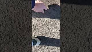 ひとつ拾えばひとつだけきれいになる。宇都宮環状線ゴミ拾い。ゴミを見つけられる眼が見えて幸せ。拾える手が動いて幸せ。