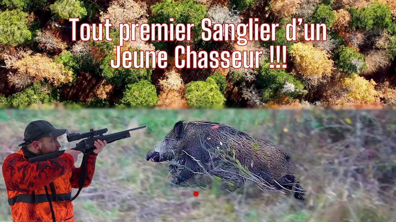Tout premier sanglier d'un jeune chasseur: un moment unique!!! Tirs de 3 sangliers🐗 1 renard🦊