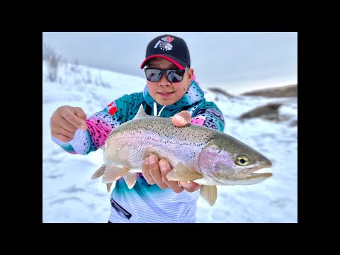 BOW RIVER | Rainbow Trouts | ReelinwithJ | CSTLURES | Goesto11| Winter Fishing | Calgary