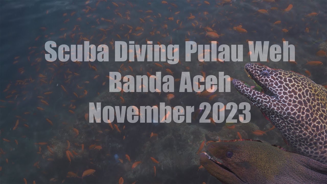 Diving Pulau Weh - Banda Aceh 2023