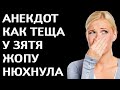 Анекдот про Любимого Зятя