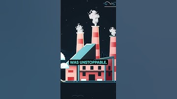 How Bubble Wrap Became a Billion Dollar Industry