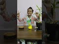 Shaky#trending #trendingsongs #shortsfeed #shorts