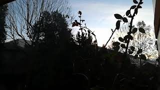 Timelapse sunrise with Xiaomi MiA1 and Framelapse Pro