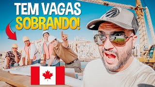 8 PROFISSÕES em alta no CANADÁ - Para começar do zero aqui!