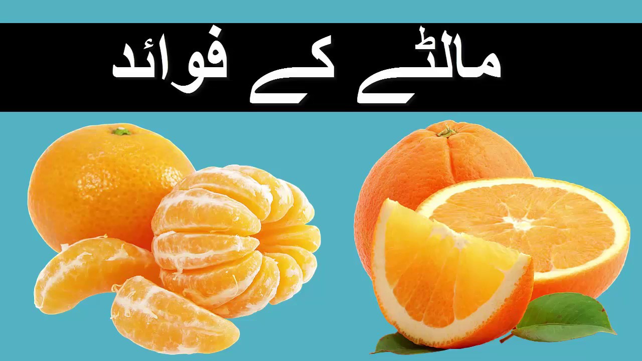 Benefits of Orange/ Benefits of Orange in Urdu/ Malte Ke Fayde/ santra