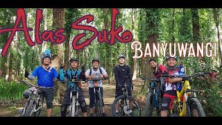ALAS SUKO BANYUWANGI//blusukan//yopiazka
