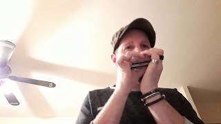 Video thumbnail of "Solo Trompette "Chan Chan" - Buena Vista Social Club - Harmonica (C)"