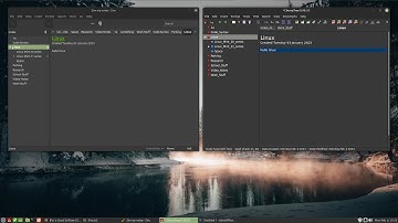 Hierarchical Notes with Zim or CherryTree on Linux Mint
