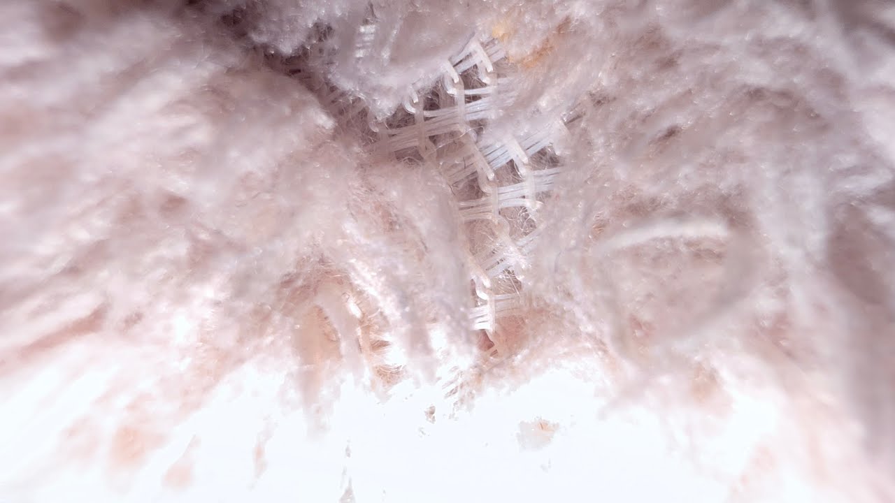 Funtime foxy voice lines (+bonnet)