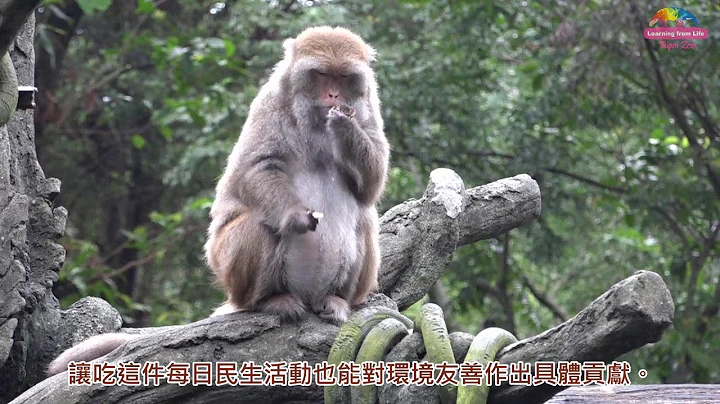 国际生物多样性日25周年—“永续食堂”目标即保护地球生命 - 天天要闻