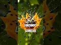 👉 “No la toques… mira lo que pasa 😳💥” #espiritual #shorts  #viral #naturaleza