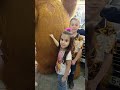 اليونيكورن ضرب لولو على عينها بالغلط زعلت منه وما عاد بدها تتصور Shortvideo Shorts Short اكسبلور اليونيكورن ضرب لولو على عينها بالغلط زعلت منه وما عاد بدها تتصور Shortvideo Shorts Short اكسبلور