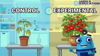 Year 5 Science - Identify Control and Experimental Groups