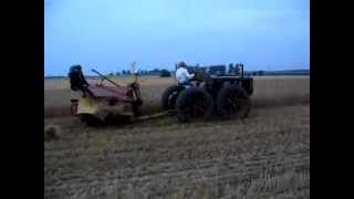Binding Wheat For Our Show in Forest Ontario