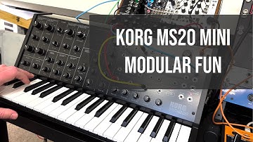 Korg MS20 Mini plus Moog DFAM equals nasty