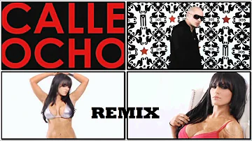 Pitbull - I Know You Want Me (Calle Ocho) REMIX