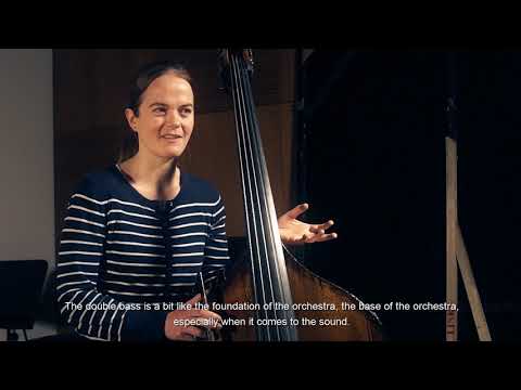 Meet the musicians:  #9 Alexandra Hengstebeck (doublebass)