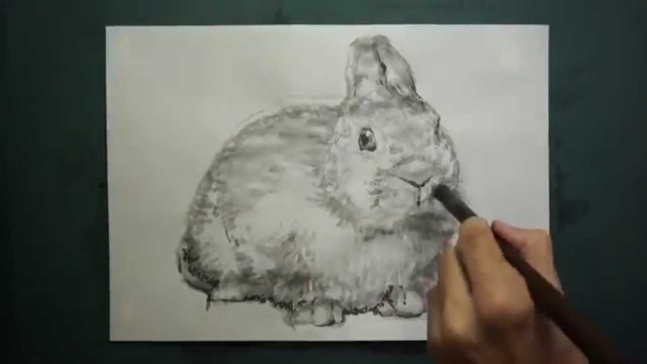 How To Draw 描き方 ウサギ Rabit を 墨でデッサン 8倍速 Youtube