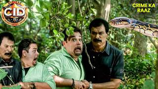 जंगल की भयानक साँपों की बीच फंस गई CID Team || CID | सी.आई.डी. | Latest Episode | 12 Apr 2026