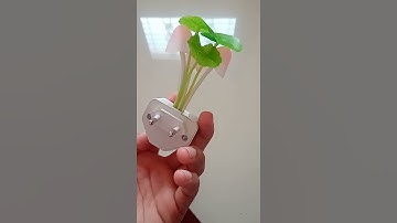 Mushroom Sensor Night Light Unboxing  | Colorful led lamps #shorts