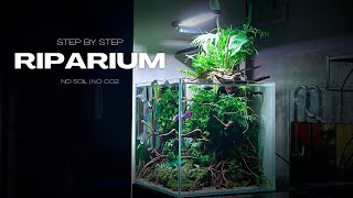 RIPARIUM BUILD VIDEO | STEP BY STEP | AQUASCAPING TUTORIAL  | NO CO2