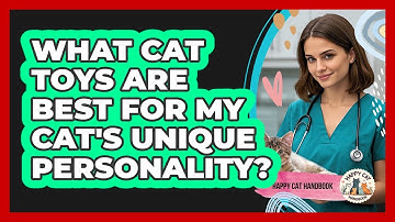 What Cat Toys Are Best For My Cat