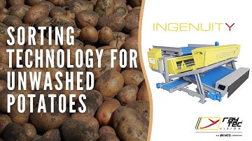 Ingenuity: double-vision #sorter for high-capacities #unwashedpotatoes | RAYTEC VISION SpA