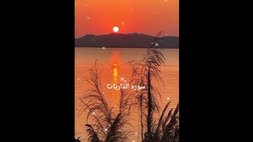 ايات من القران الكريم الشيخ احمد العجمي #cupcatedit #cupcut #أدعية_مستجابة #راحة_نفس #القرآن_الكريم