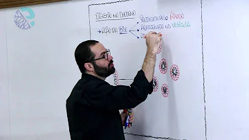 O que pode obstruir a bile?