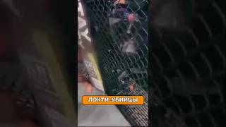 ЖЕСТЬ! Рэнди УНИЧТОЖАЕТ соперника ЛОКТЯМИ 💥 #MMA #Нокаут