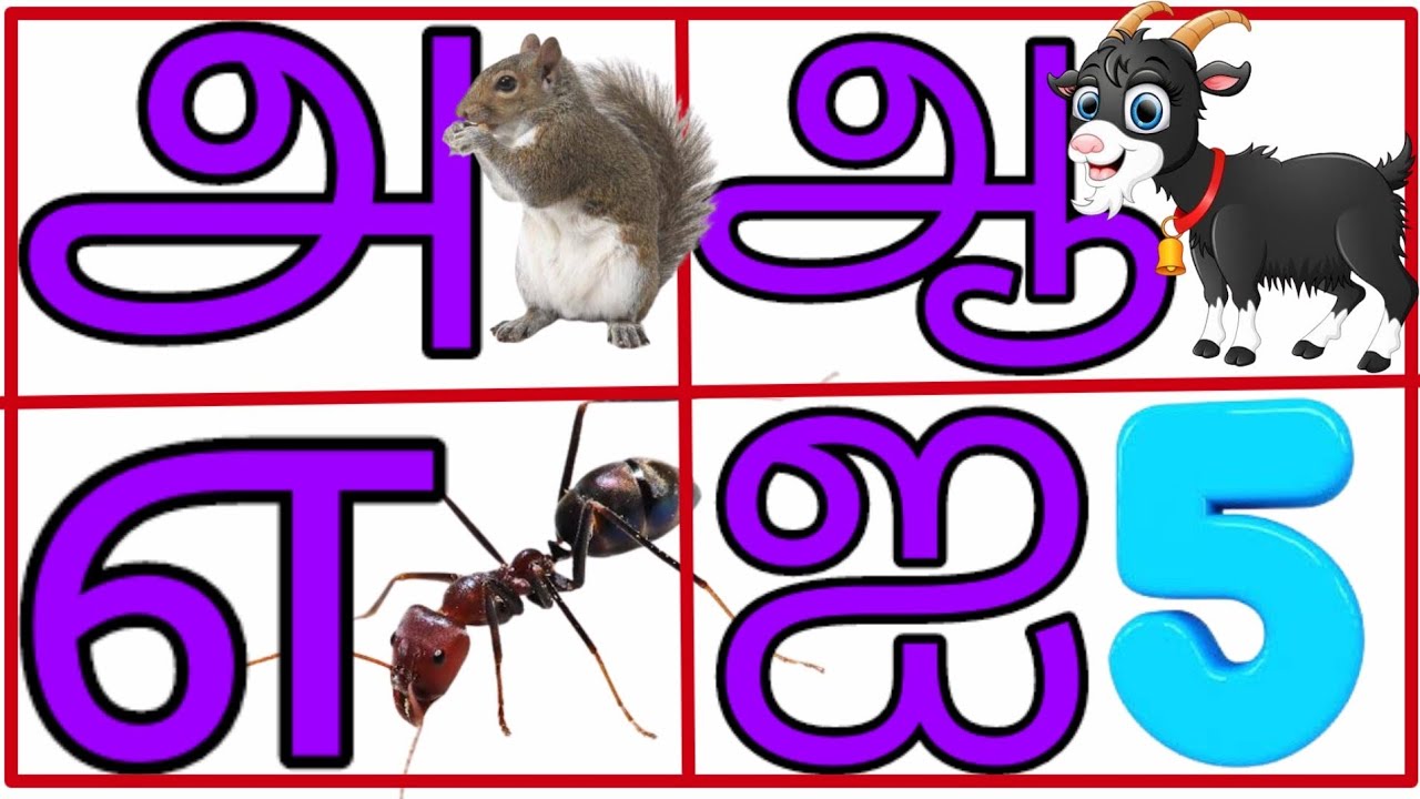 உயிர் எழுத்துக்கள்|அ ஆ இ ஈ அரிச்சுவடி| learn Tamil alphabet letters ...