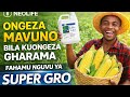 Ongeza Mavuno Bila Kuongeza Gharama – Fahamu Nguvu ya SUPER GRO💥💥💥💥💥