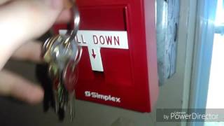 *Birthday Special* Simplex T-Bar comparison