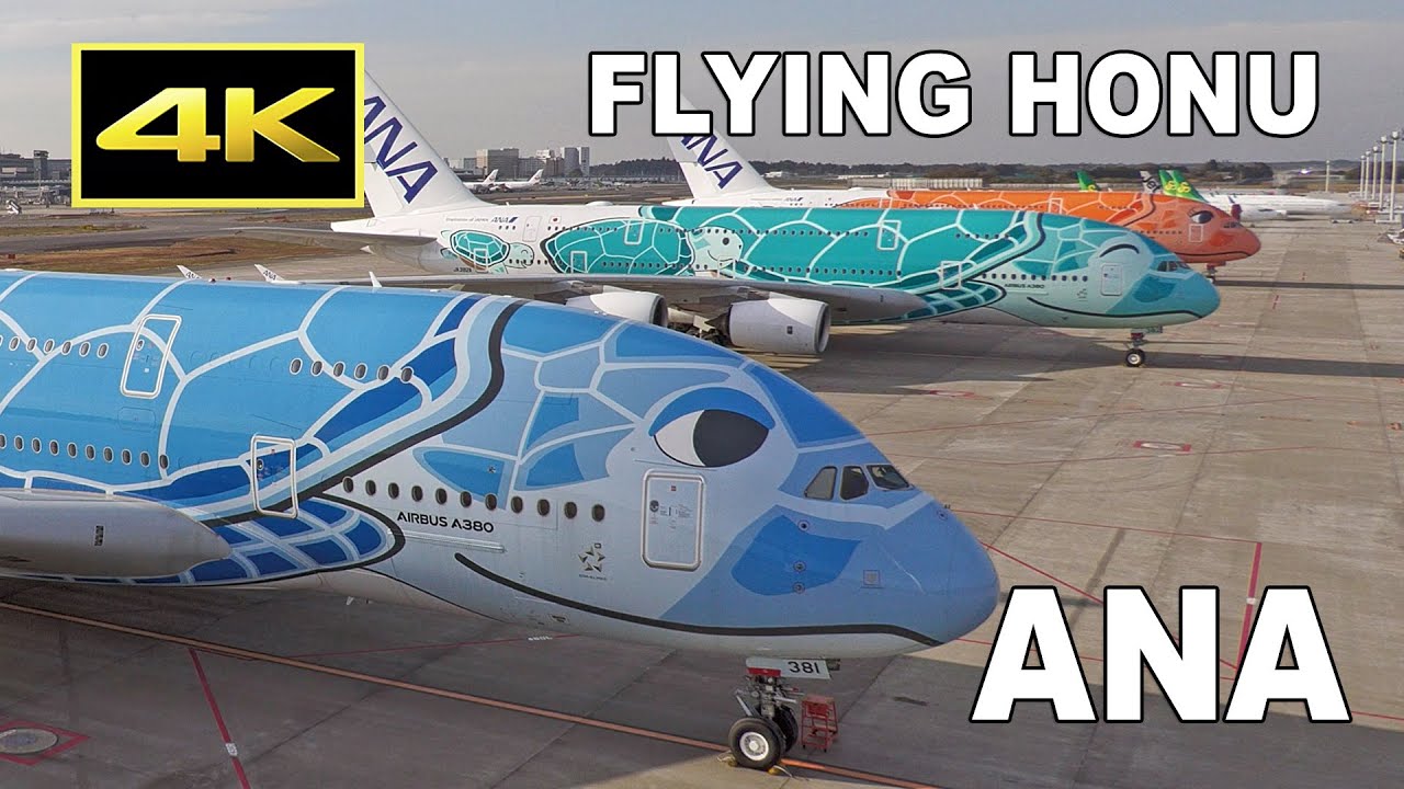 4K] ANA Airbus A380 