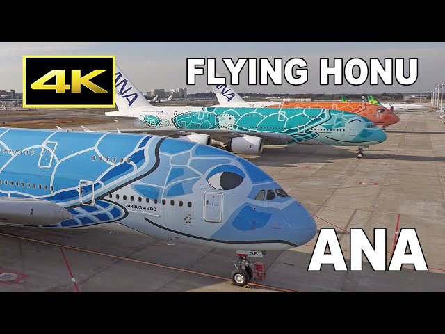 4K] ANA Airbus A380 
