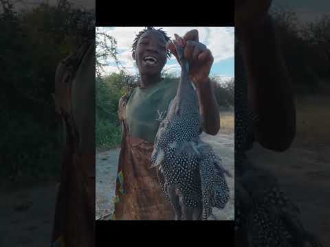 Hunting with the Hadzabe tribe is very real… #africansafari #africatravels