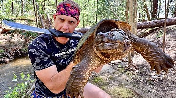 Snapping Turtle Catch n