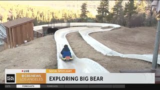 Alpine Slide in Big Bear: SoCal Spotlight