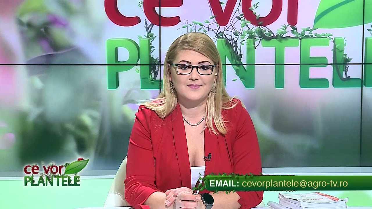 VIDEO Dr. Ing. Horia Ghibu - Cum scăpăm de mușchi și licheni de pe pomi. Eficiență 100% 1 VIDEO Dr. Ing. Horia Ghibu - Cum scăpăm de mușchi și licheni de pe pomi. Eficiență 100% YouTube player