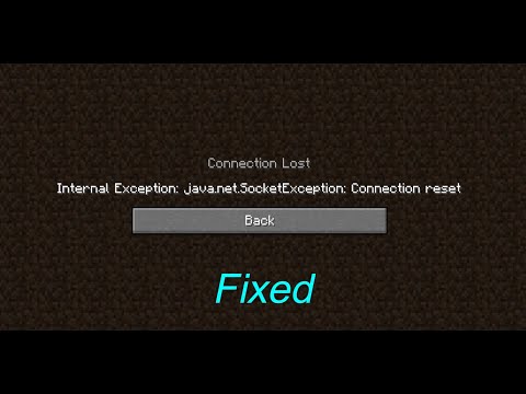 Minecraft 1.17+ ||