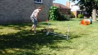 Backside Jump Foundation Exercise